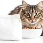 Meu gato só quer comer sachê: como equilibrar a dieta sem pesar no bolso?